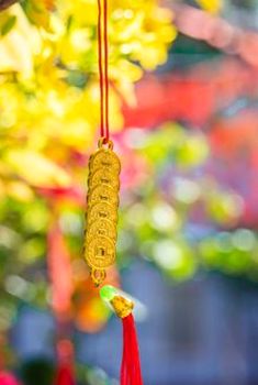 6 mẹo tránh dùng tiền thuê nhà