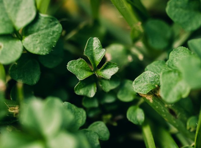mẹo nghỉ giữa các phiên